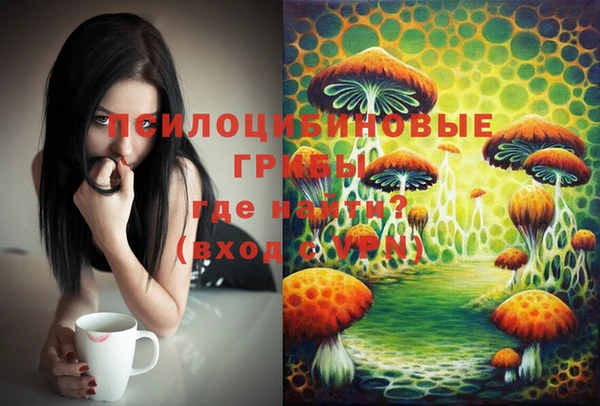 соль курить ск Алексеевка