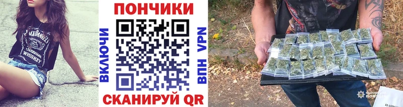 где купить   Нестеров  OMG вход  Бошки марихуана OG Kush 